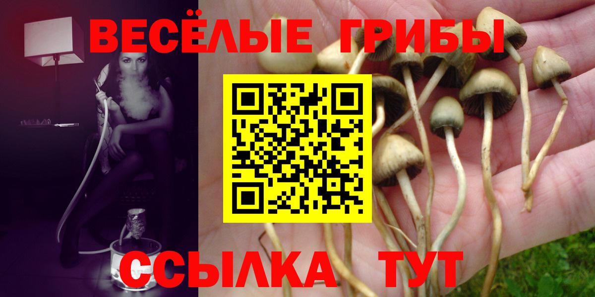 Псилоцибиновые грибы Psilocybe Шали